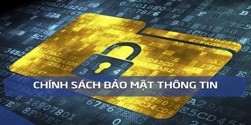 Chính Sách Bảo Mật Thông tin nào được thu thập?